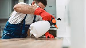 Emergency Pest Control Services in Trevose, PA